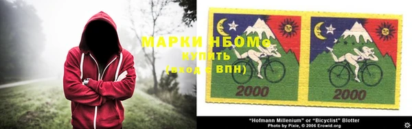 гидропоника Бородино