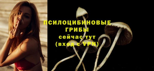 соль курить ск Белоозёрский