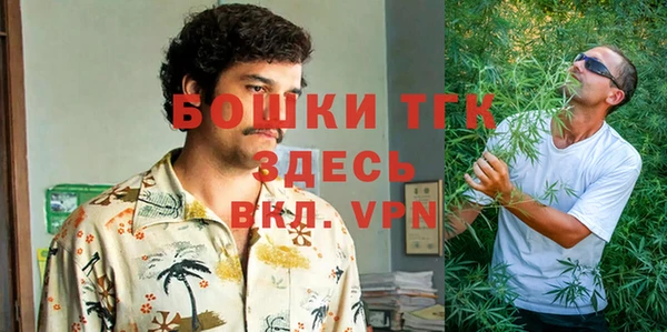 гидропоника Бородино