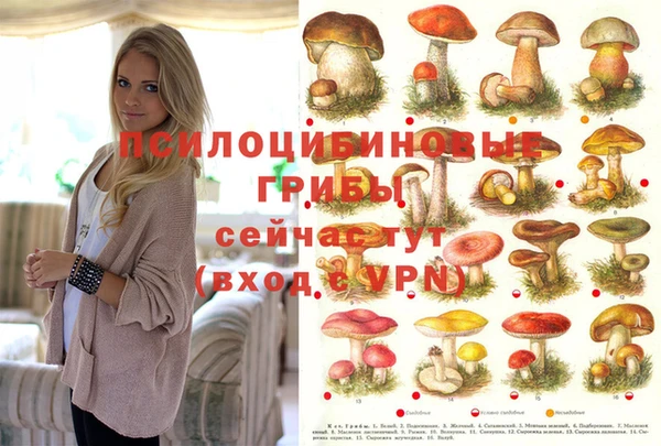 меф Бронницы